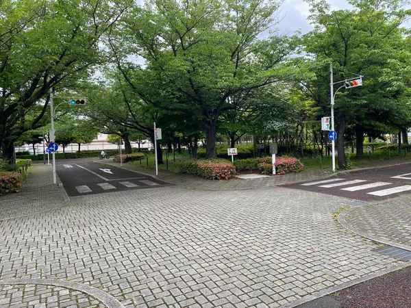 Traffic Park