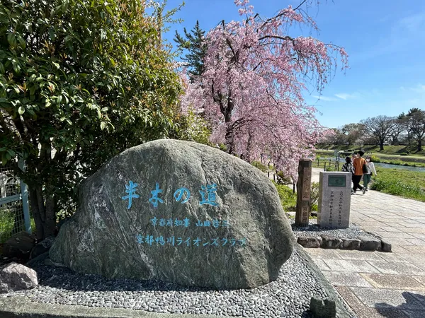 Nakaragi Cherry Blossom Path