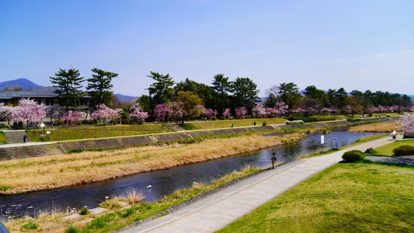 Nakaragi Cherry Blossom Path