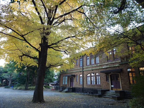 Komaba Park
