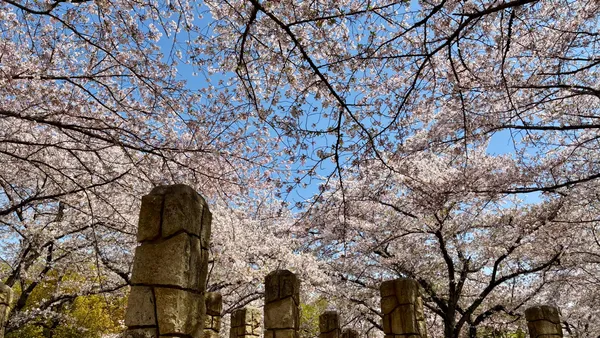 Himeji 10 Scenic Sites (World Heritage site)