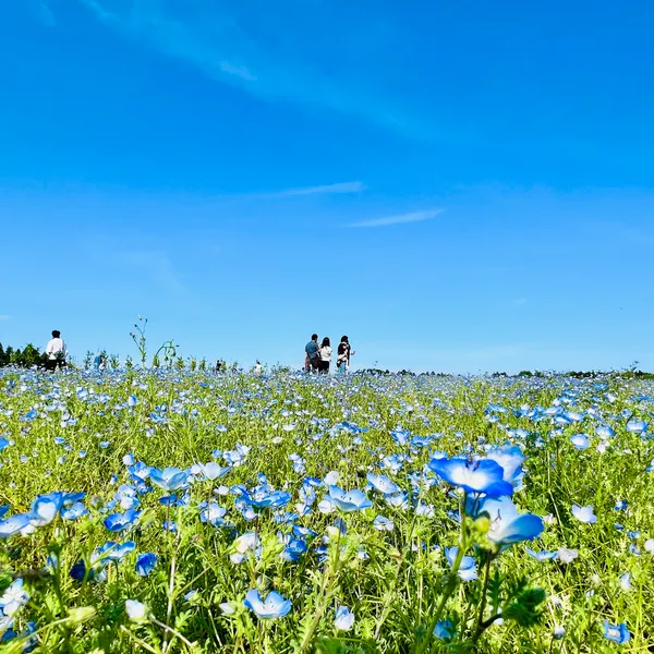 富田さとにわ耕園