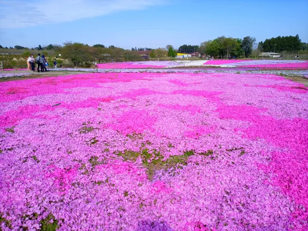 富田さとにわ耕園
