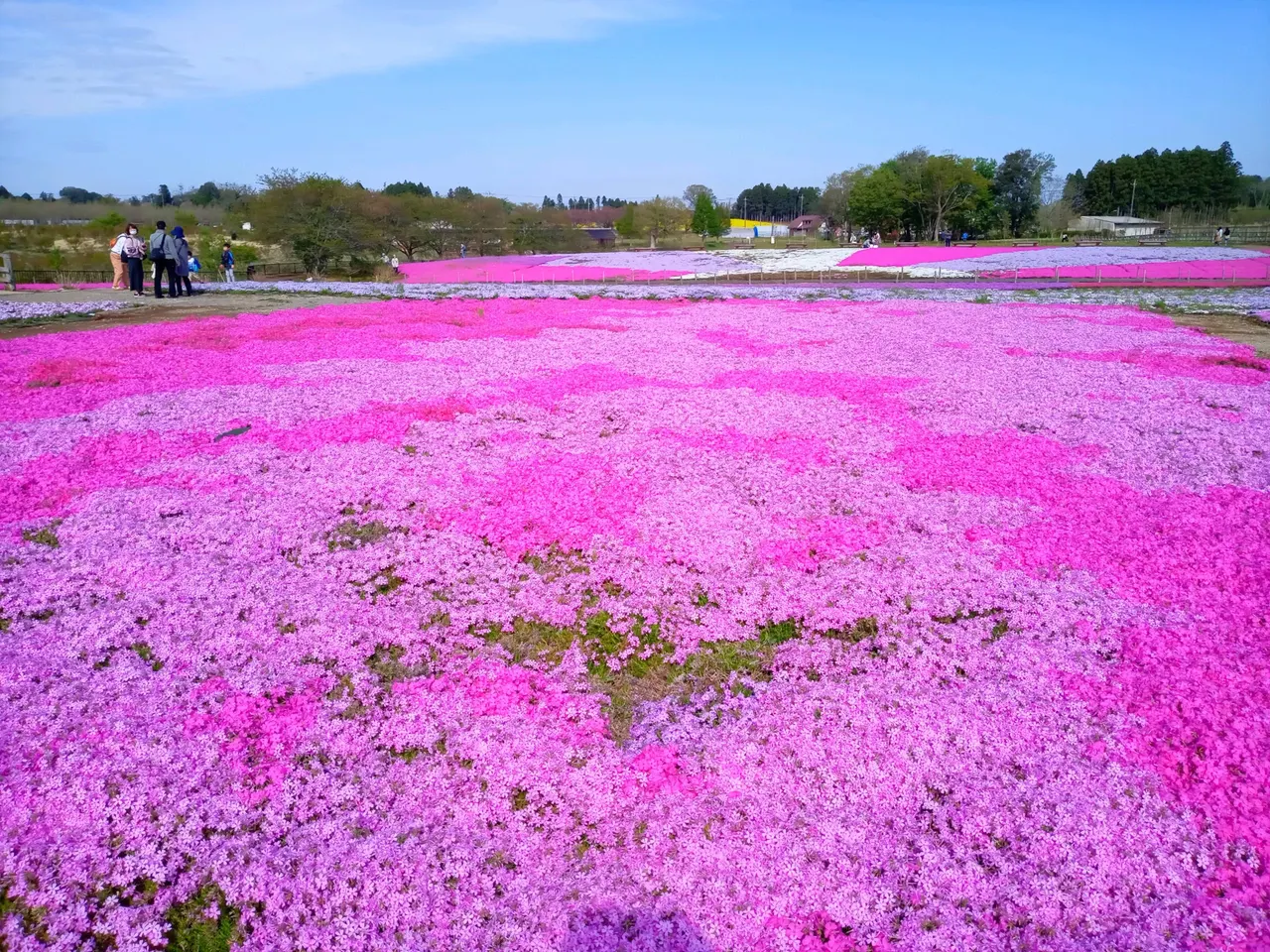 富田さとにわ耕園