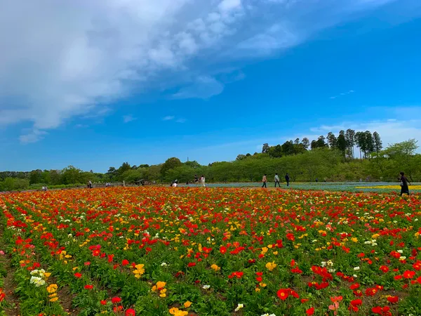 富田さとにわ耕園