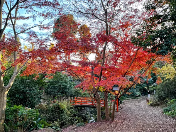 Todoroki Ravine Park