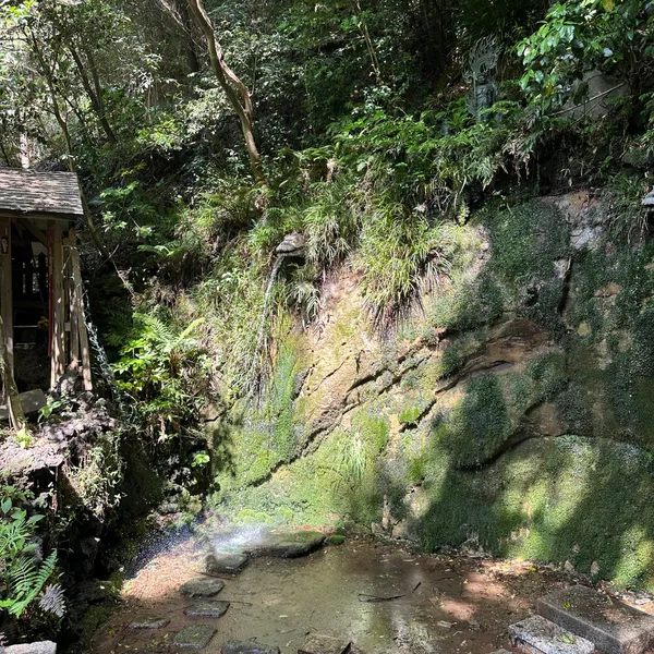 Todoroki Ravine Park