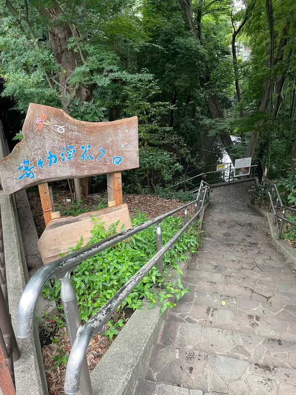 Todoroki Ravine Park