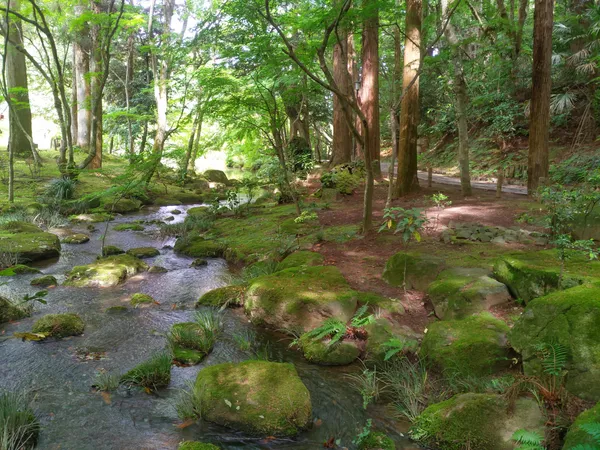 Ryuchi Pond