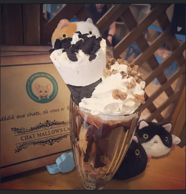 Chat Mallows Café 10€/pers Age 6+ only