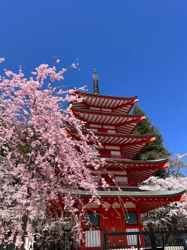 Arakura Fuji Sengen Shrine