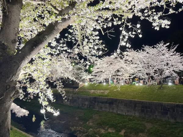 Four Seasons Road of Yamazaki River