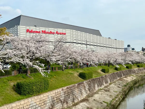 Four Seasons Road of Yamazaki River