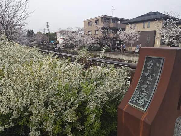 Four Seasons Road of Yamazaki River