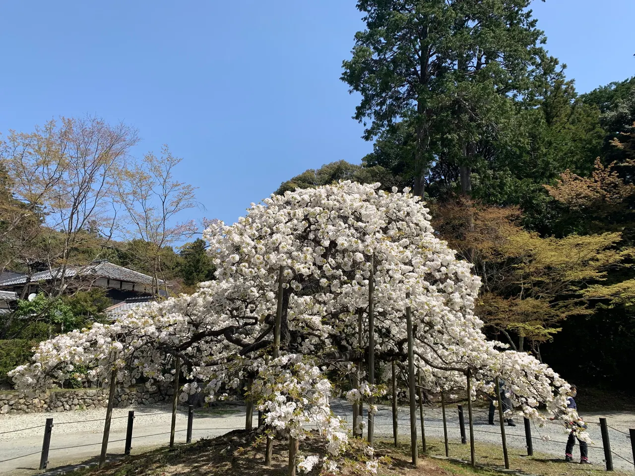 Ōharano Shrine