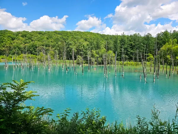 Shirogane Blue Pond (Aoiike)