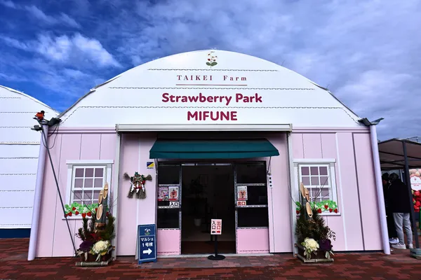 Strawberry Park Mifune