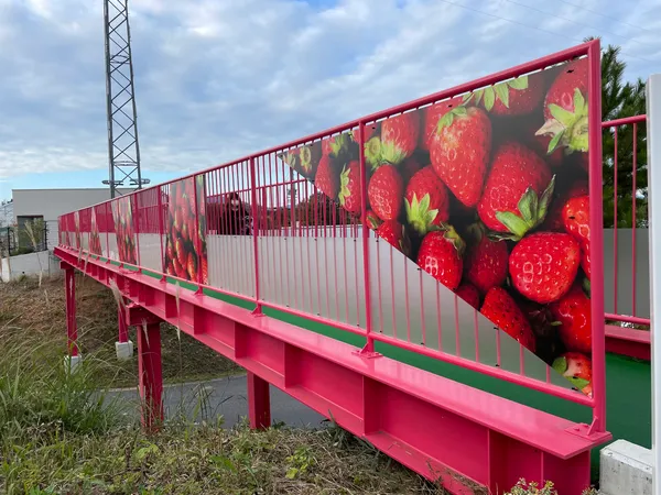Strawberry Park Mifune