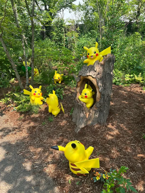 Pokémon Forest