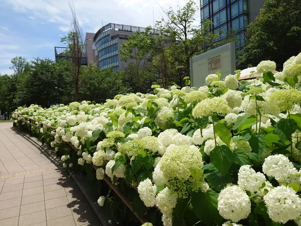 Tsukijigawa Park