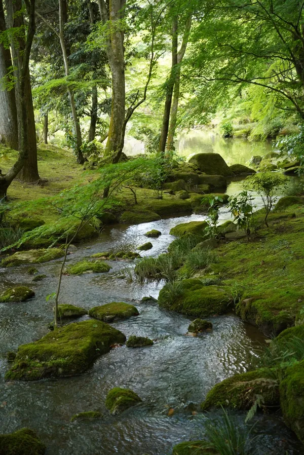 Monju Pond