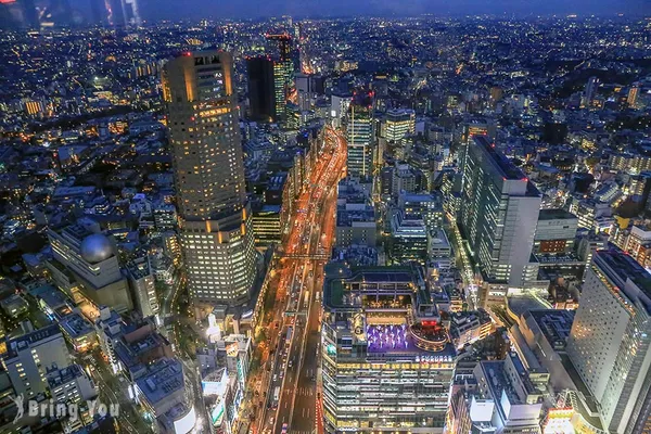 Shibuya Hikarie Sky Lobby
