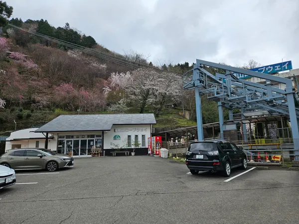 Hashikurayama Ropeway - Tozanguchi Station