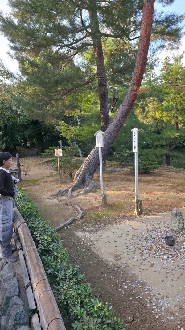 南池跡
