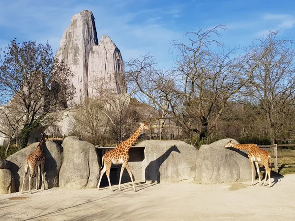 Parc zoologique de Paris
