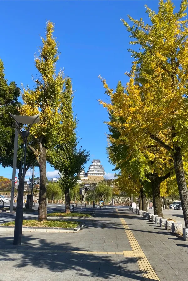 Otemae street