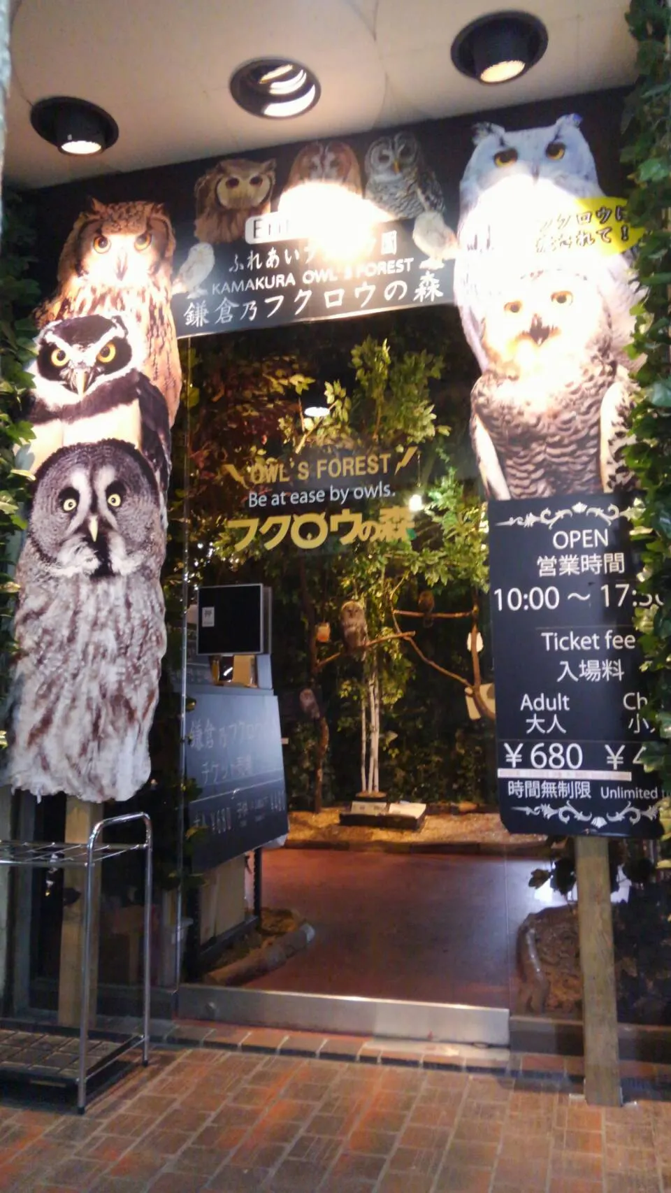 Kamakura Owls’ Forest