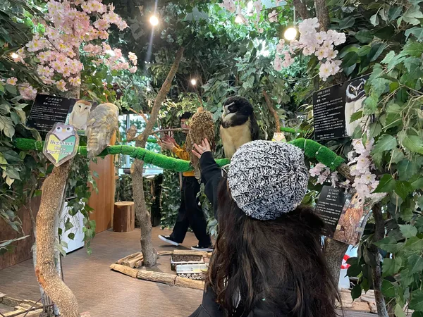 Kamakura Owls’ Forest