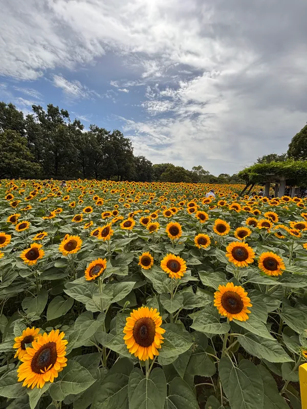 Nagai Botanical Garden