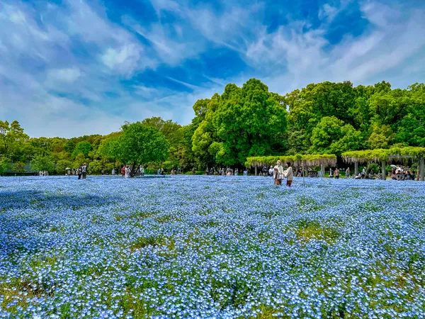 Nagai Botanical Garden