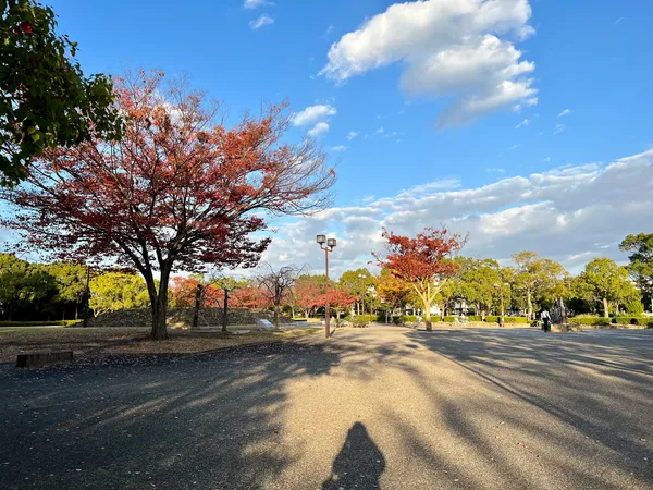 Shiromidai Park