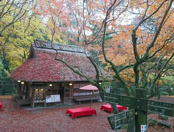 Mizuya Chaya