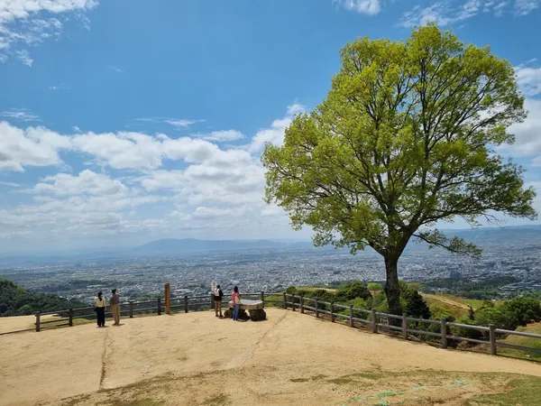 Wakakusayama Hill
