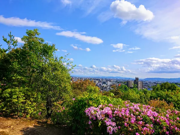 Funaokayama-jō Castle Ruins