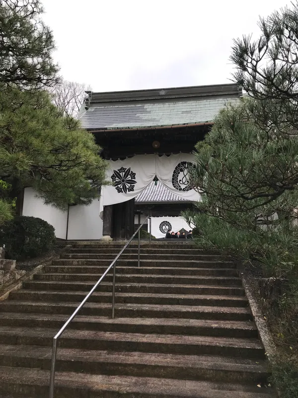 正伝寺のクロガネモチ
