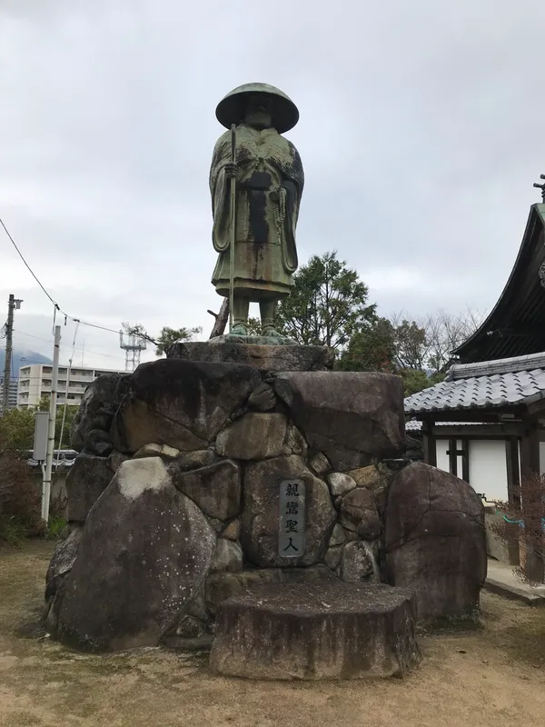 正伝寺のクロガネモチ