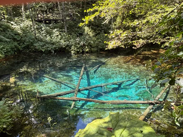 Akan-Mashū National Park