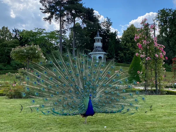 Parc Bagatelle - la Roseraie