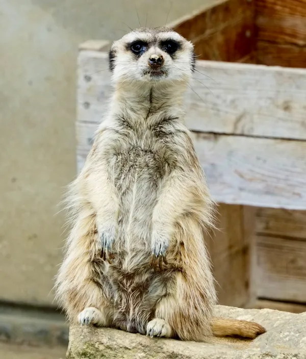 Ichikawa City Zoo