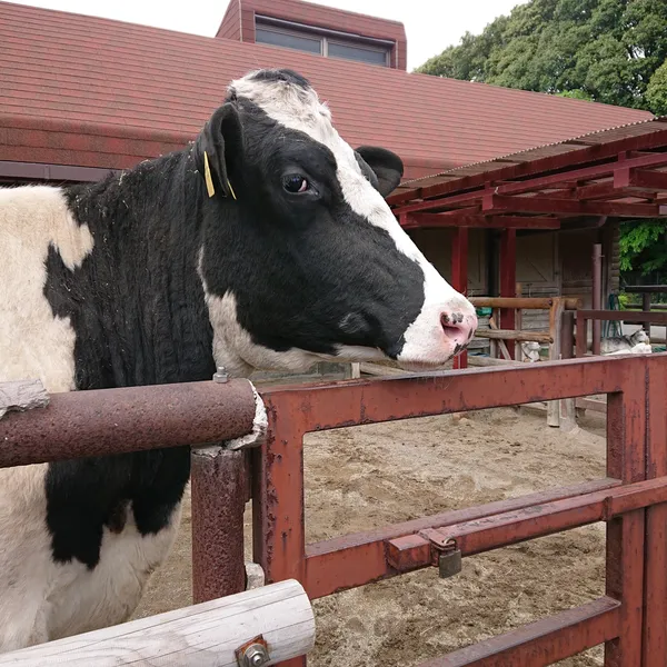 Ichikawa City Zoo