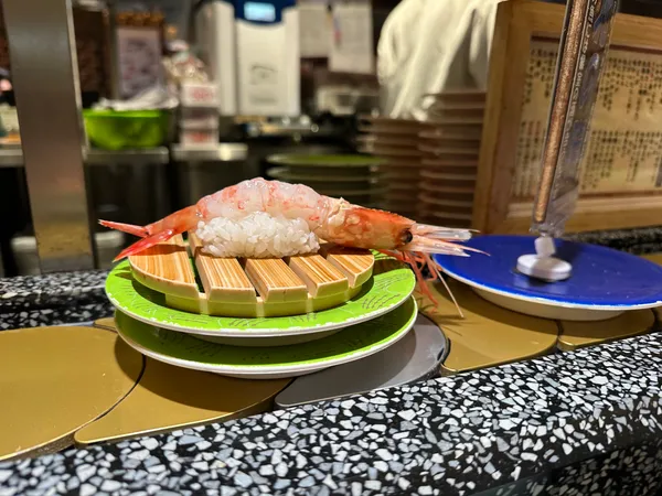 Nemuro Hanamaru at Sapporo Station