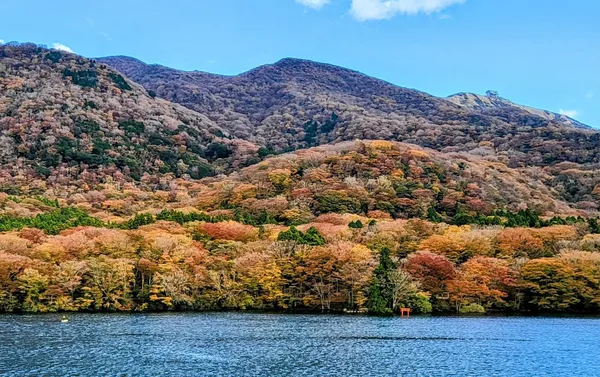 Lake Ashi