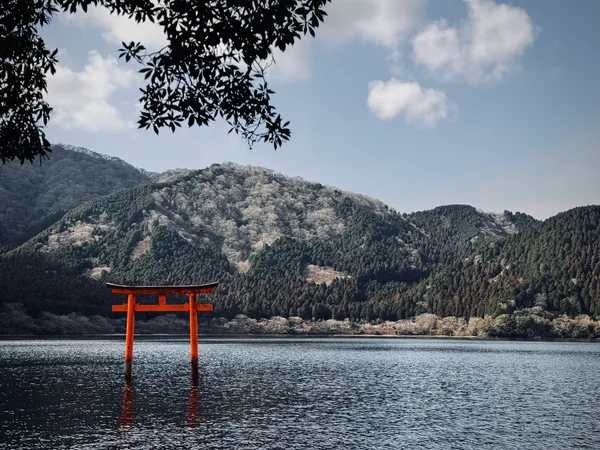 Hakone Kuzuryu-no-mori