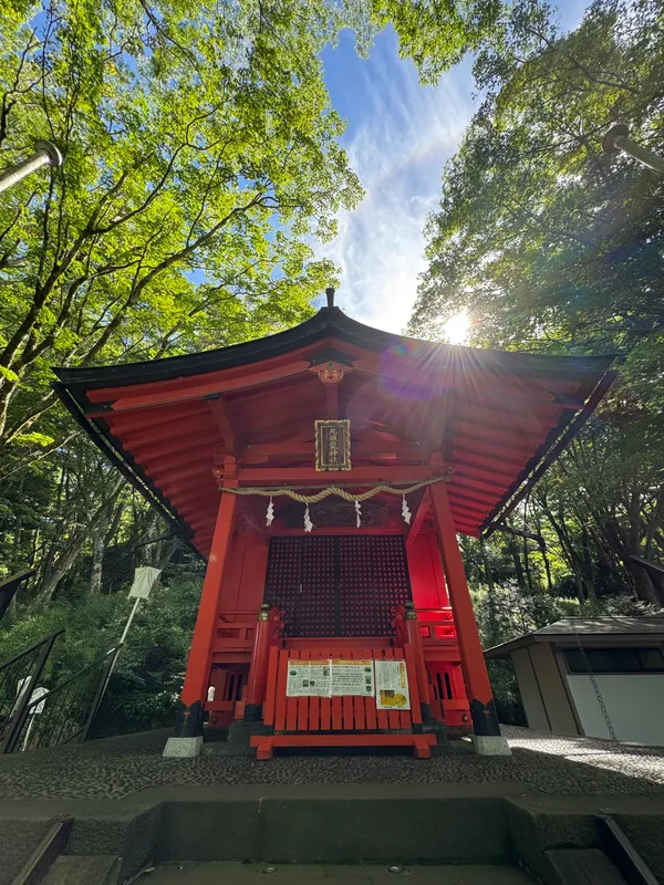 Hakone Kuzuryu-no-mori