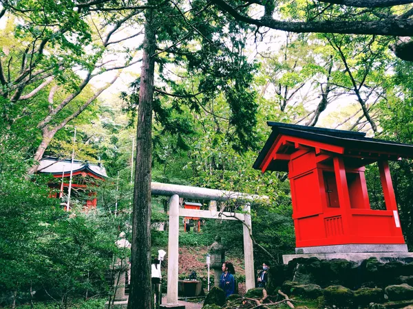 Hakone Kuzuryu-no-mori