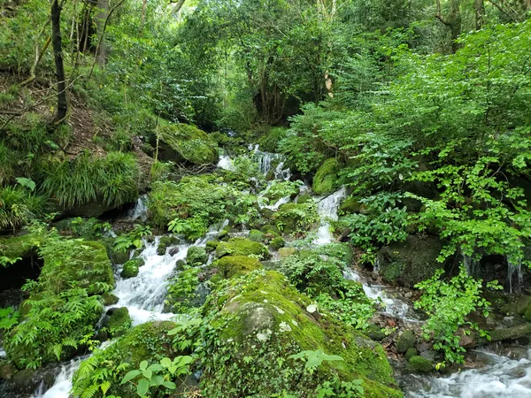 Chisuji Falls